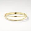 Double Band Split Bangle In Gold
