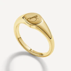 Engravable Circle Signet Pinky Ring In Gold -Fashion Accessories Store engravable circle signet pinky ring in gold medley jewellery ring 39932669526246