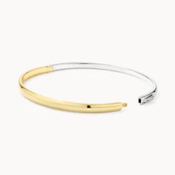 Mixed Metal Polished Plain Bangle In Gold -Fashion Accessories Store mixed metal polished plain bangle in gold medley jewellery bangle bracelet 42517129396454