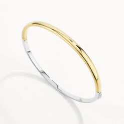 Mixed Metal Polished Plain Bangle In Gold -Fashion Accessories Store mixed metal polished plain bangle in gold medley jewellery bangle bracelet 42517129494758