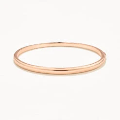 Polished Plain Bangle In Rose Gold -Fashion Accessories Store polished plain bangle in rose gold medley jewellery bangle bracelet 37533101752550