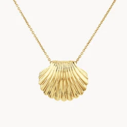 Shell Pendant Necklace In Gold