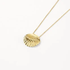 Shell Pendant Necklace In Gold -Fashion Accessories Store shell pendant necklace in gold medley jewellery pendant 42638481359078