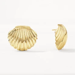 Shell Stud Earrings In Gold