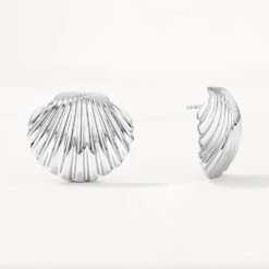 Shell Stud Earrings In Silver